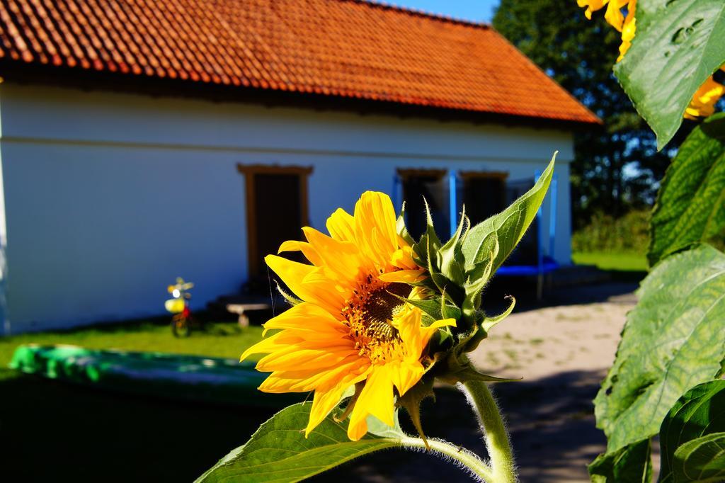 Rybaczowka Luknajno Villa Mikołajki Dış mekan fotoğraf