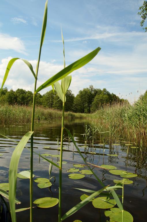 Rybaczowka Luknajno Villa Mikołajki Dış mekan fotoğraf